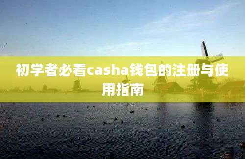 初学者必看casha钱包的注册与使用指南