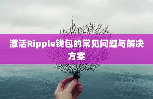 激活Ripple钱包的常见问题与解决方案