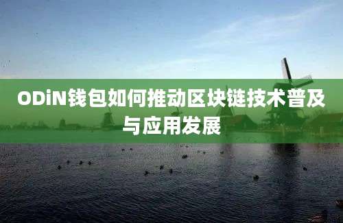 ODiN钱包如何推动区块链技术普及与应用发展