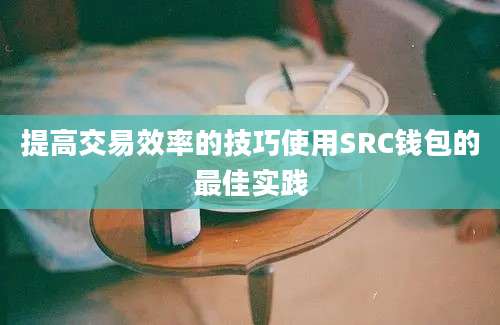 提高交易效率的技巧使用SRC钱包的最佳实践