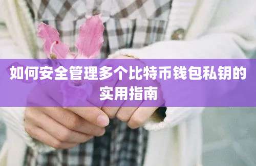 如何安全管理多个比特币钱包私钥的实用指南