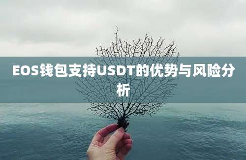 EOS钱包支持USDT的优势与风险分析