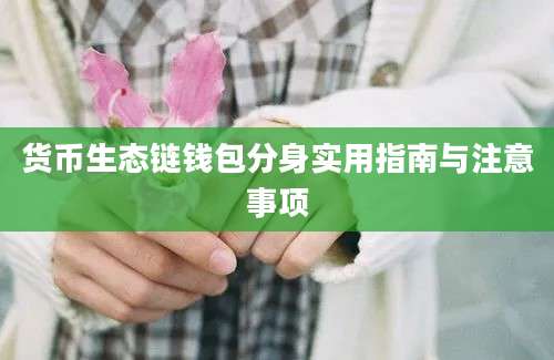 货币生态链钱包分身实用指南与注意事项