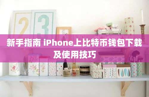 新手指南 iPhone上比特币钱包下载及使用技巧