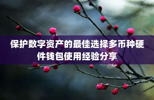 保护数字资产的最佳选择多币种硬件钱包使用经验分享