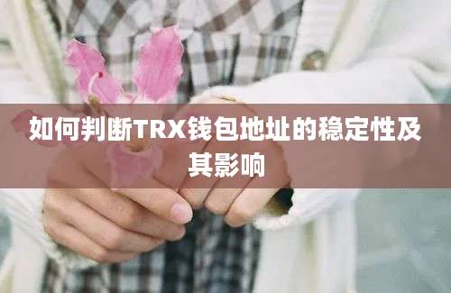 如何判断TRX钱包地址的稳定性及其影响