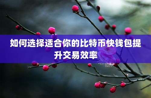 如何选择适合你的比特币快钱包提升交易效率