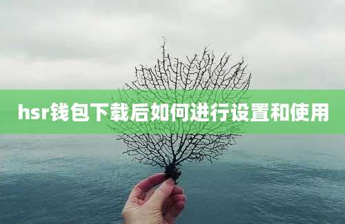 hsr钱包下载后如何进行设置和使用