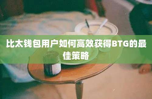 比太钱包用户如何高效获得BTG的最佳策略