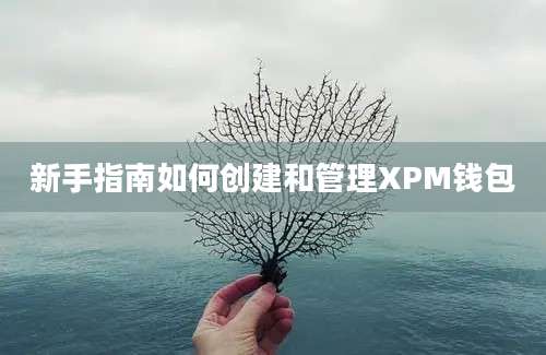 新手指南如何创建和管理XPM钱包