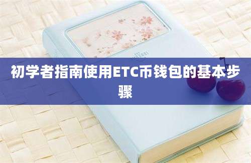 初学者指南使用ETC币钱包的基本步骤