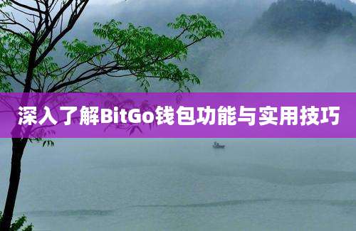 深入了解BitGo钱包功能与实用技巧