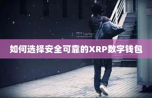 如何选择安全可靠的XRP数字钱包