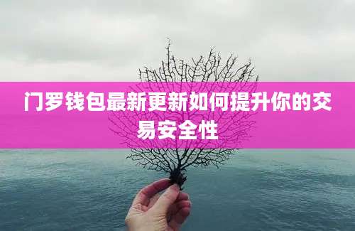 门罗钱包最新更新如何提升你的交易安全性