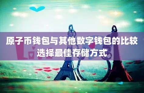 原子币钱包与其他数字钱包的比较选择最佳存储方式