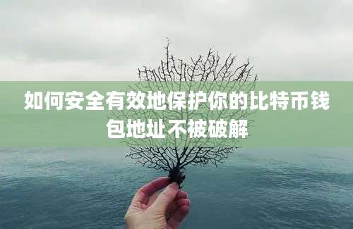 如何安全有效地保护你的比特币钱包地址不被破解