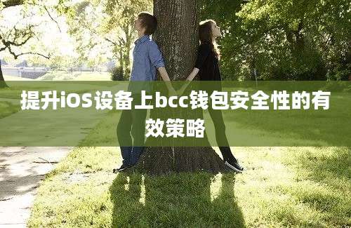 提升iOS设备上bcc钱包安全性的有效策略