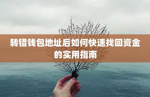 转错钱包地址后如何快速找回资金的实用指南