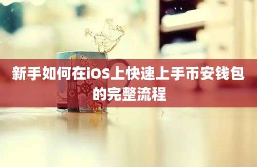 新手如何在iOS上快速上手币安钱包的完整流程