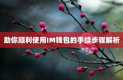 助你顺利使用IM钱包的手续步骤解析