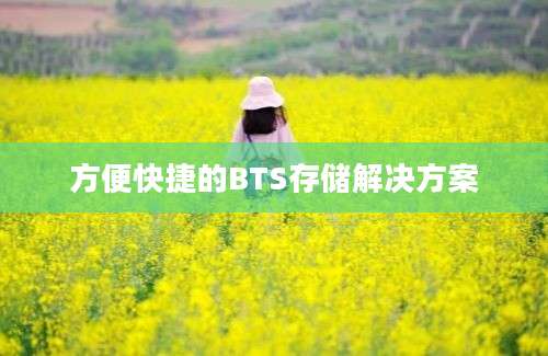 方便快捷的BTS存储解决方案