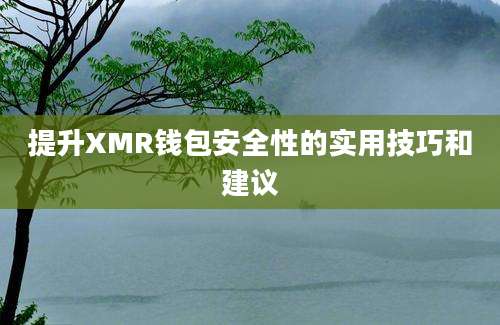 提升XMR钱包安全性的实用技巧和建议