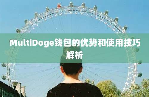 MultiDoge钱包的优势和使用技巧解析