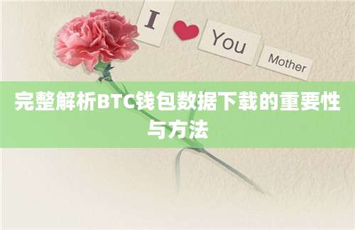 完整解析BTC钱包数据下载的重要性与方法