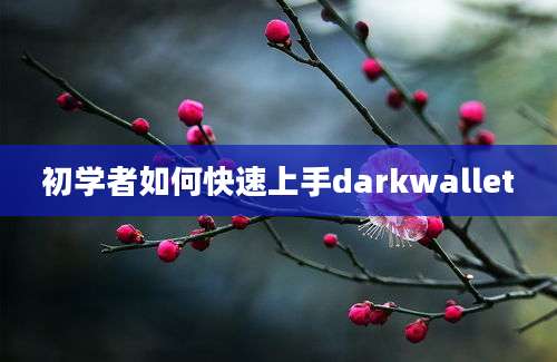 初学者如何快速上手darkwallet