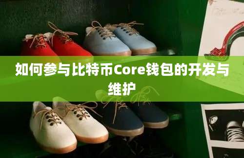 如何参与比特币Core钱包的开发与维护